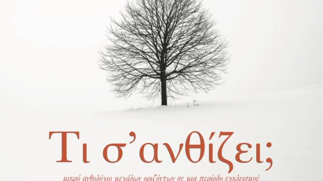 ebook cover Τι σ'ανθίζει;